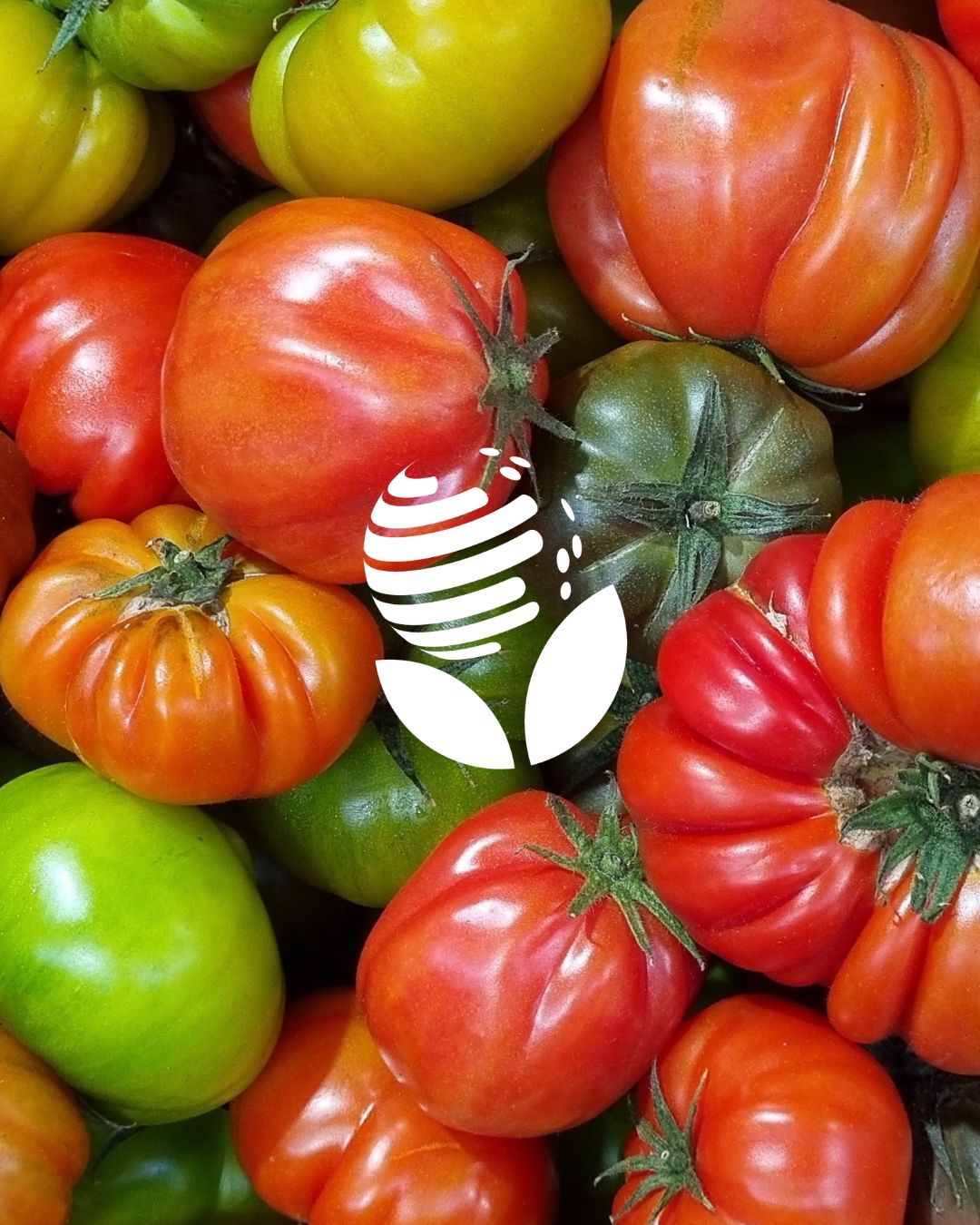 International Society for Horticultural Science (ISHS) ad