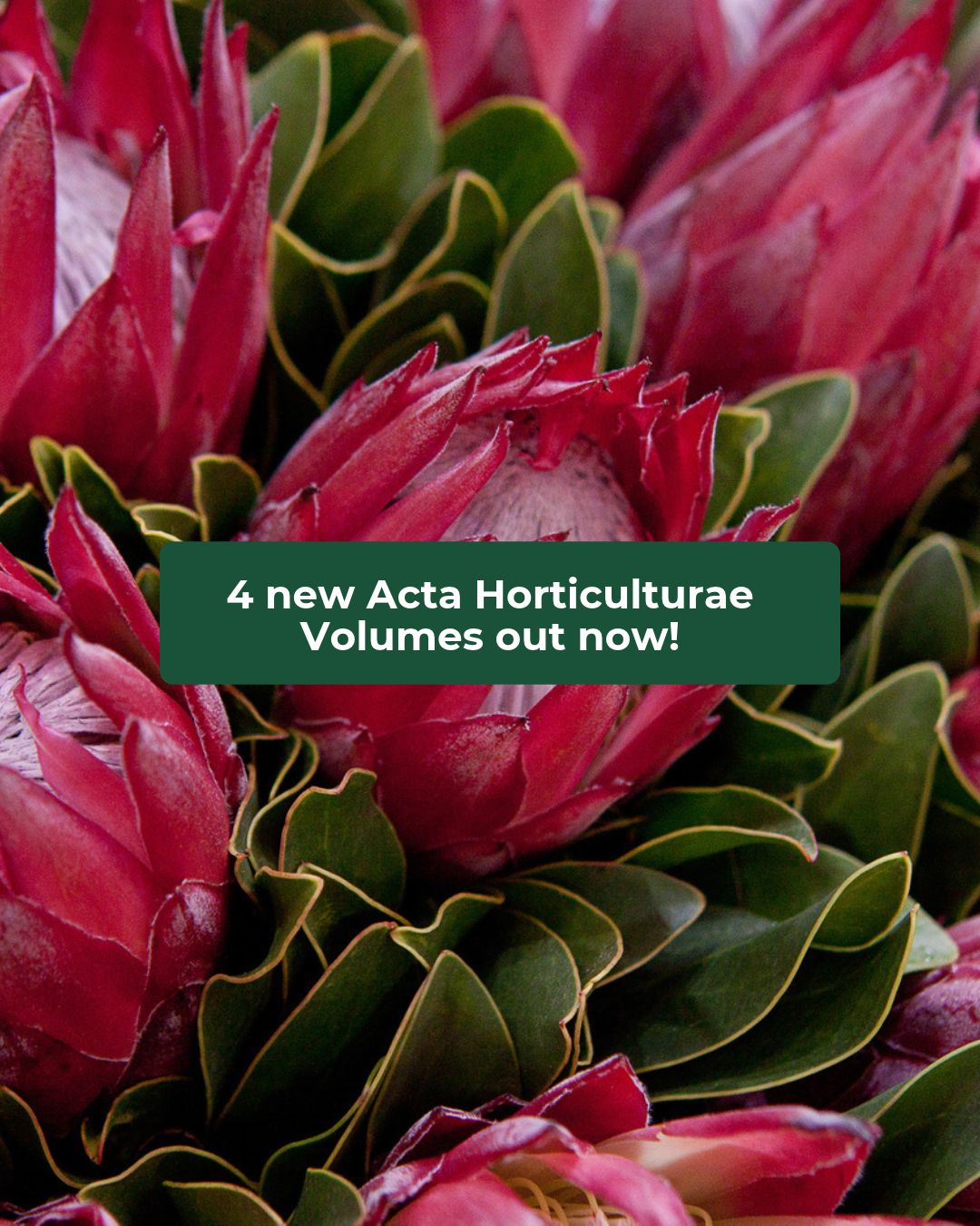 International Society for Horticultural Science (ISHS) ad
