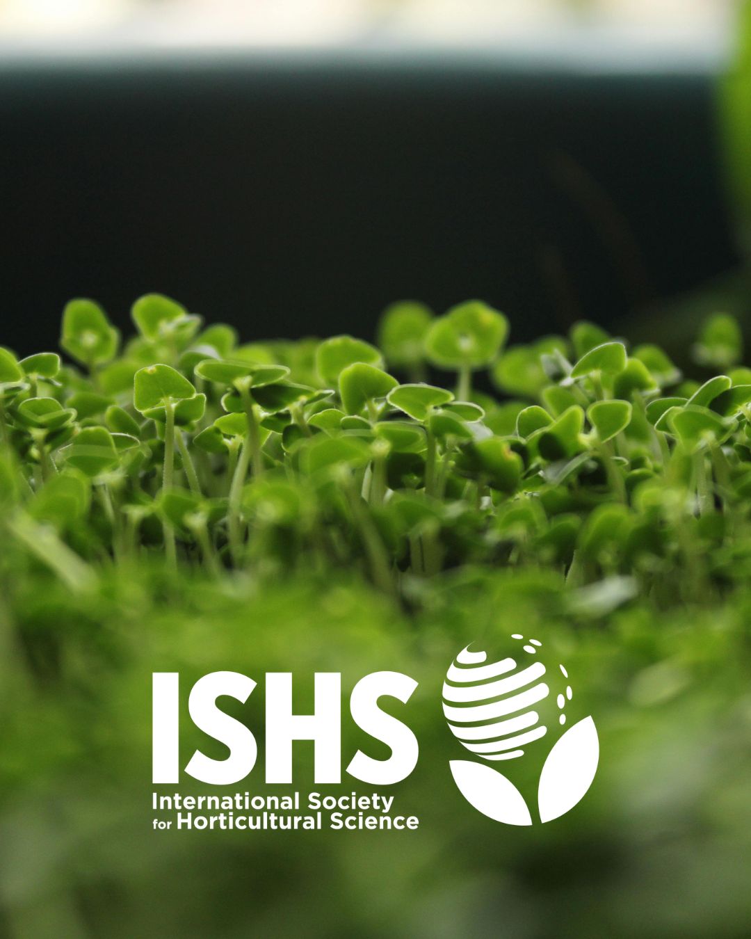 International Society for Horticultural Science (ISHS) ad
