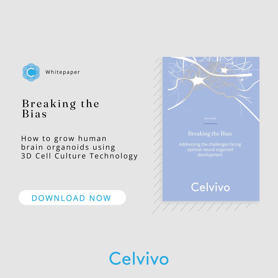 Celvivo ad