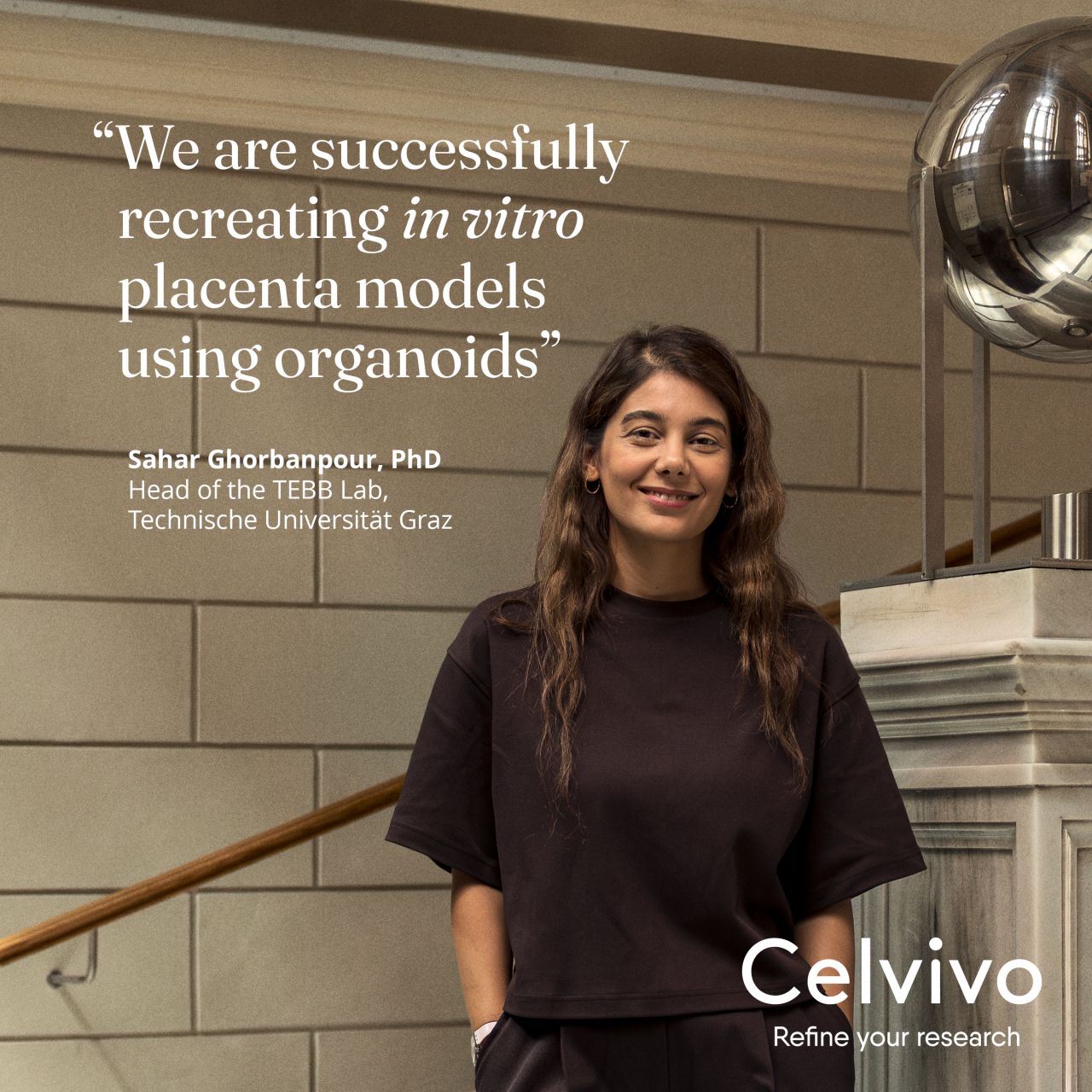 Celvivo ad