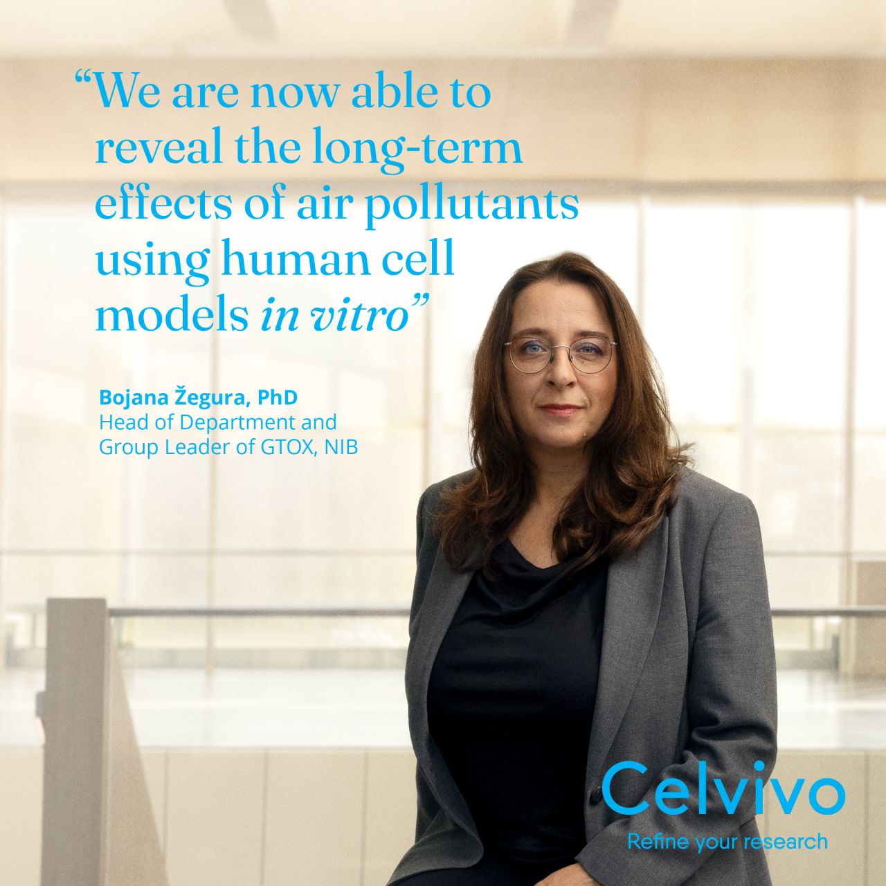 Celvivo ad
