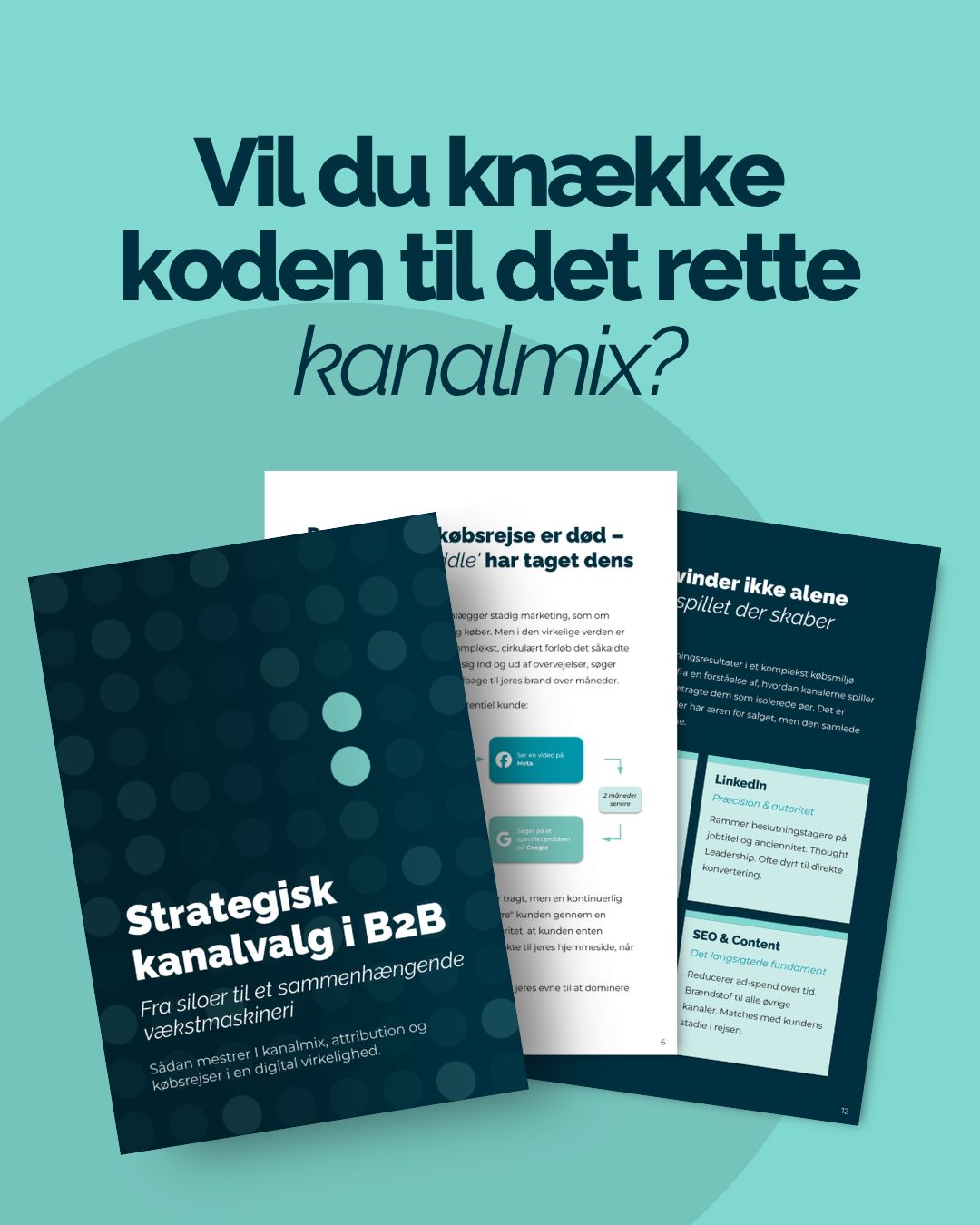 Iternum Digital ad