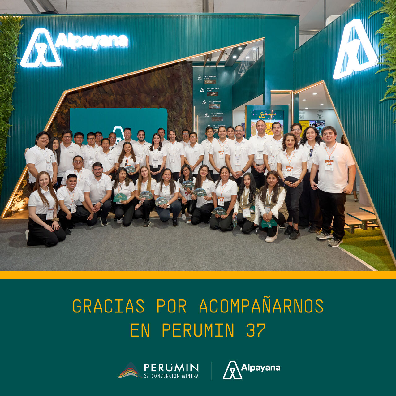 Alpayana ad