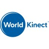 World Kinect ad