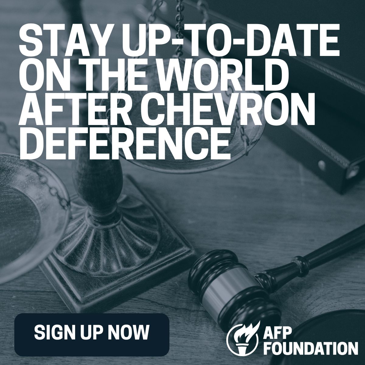 Americans For Prosperity Foundation ad