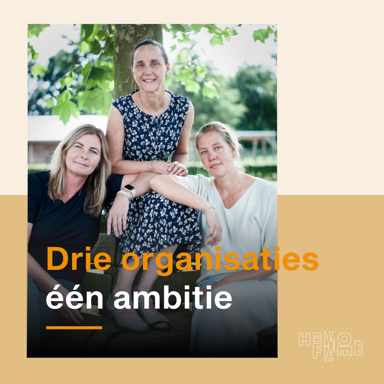HevoFame ad
