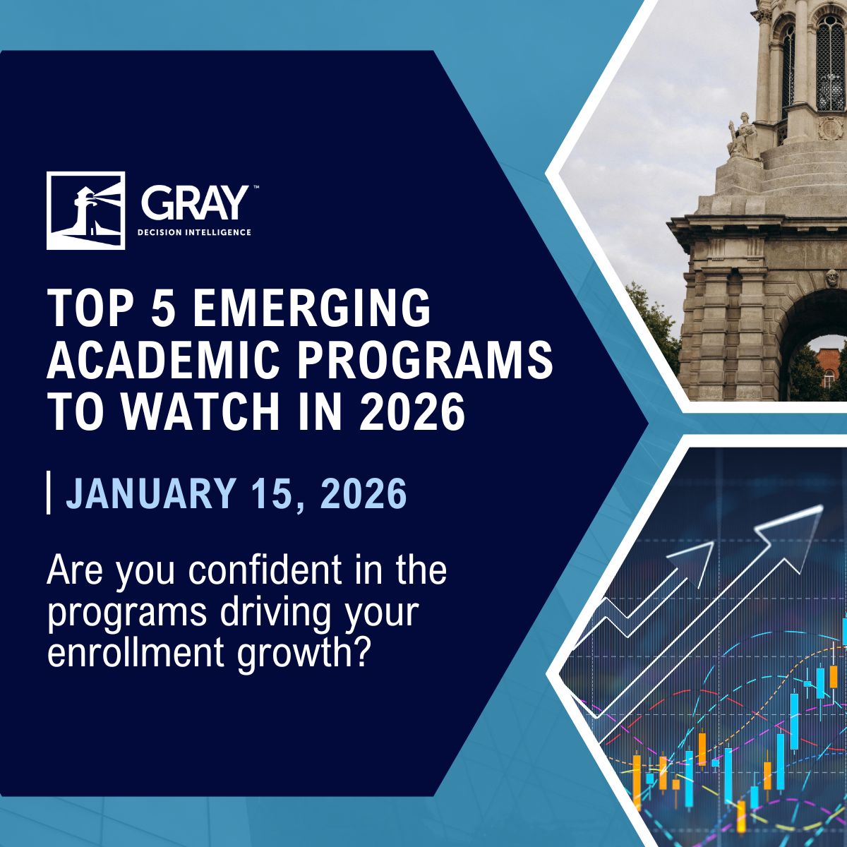 Gray Decision Intelligence ad