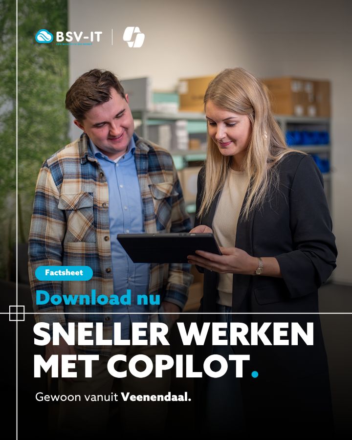 BSV-IT ad