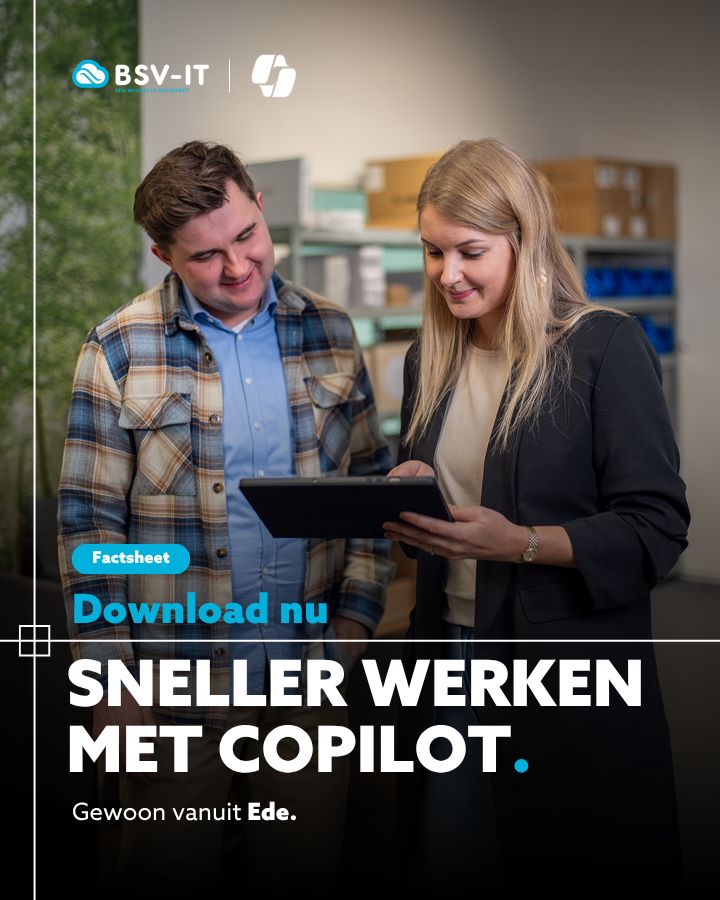BSV-IT ad