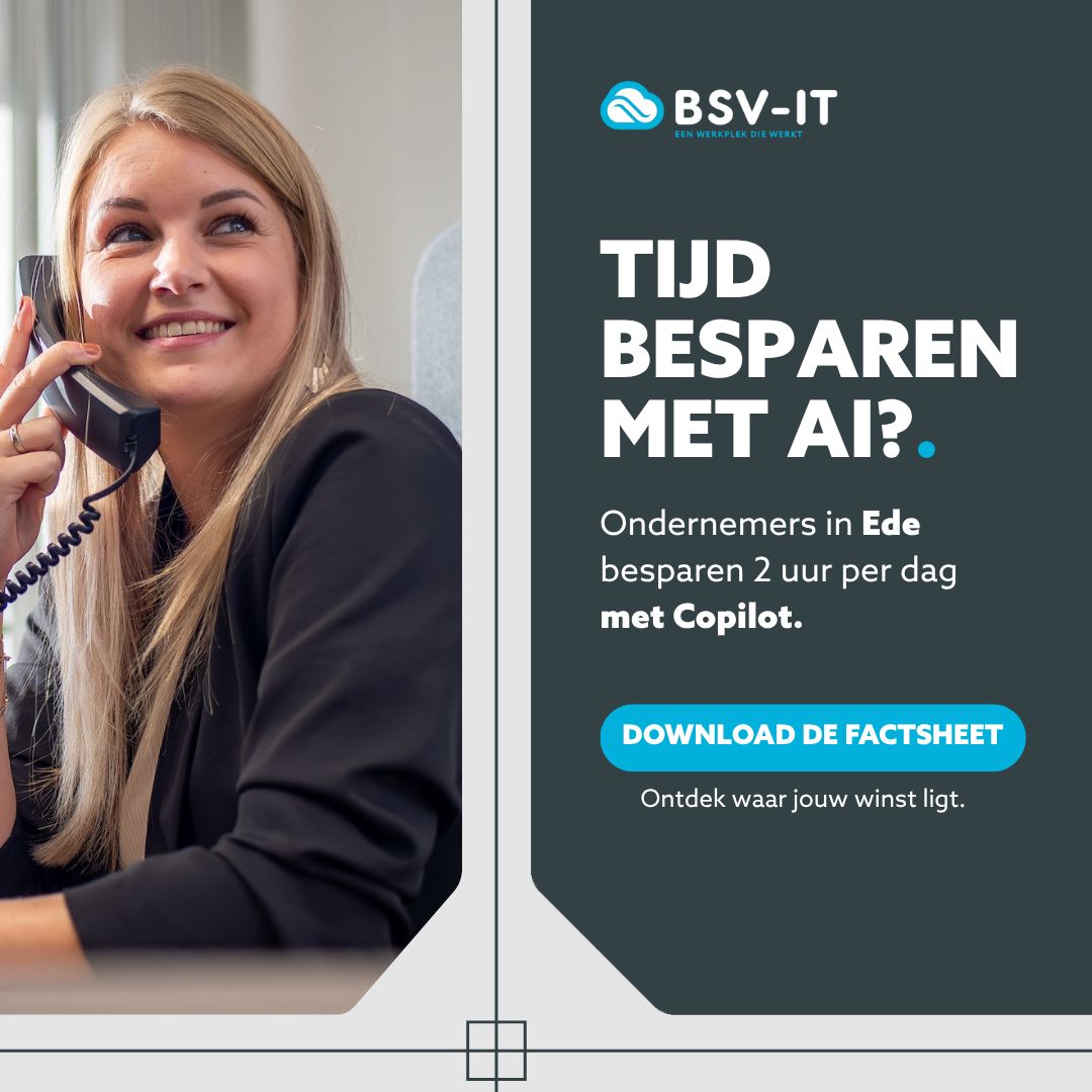 BSV-IT ad