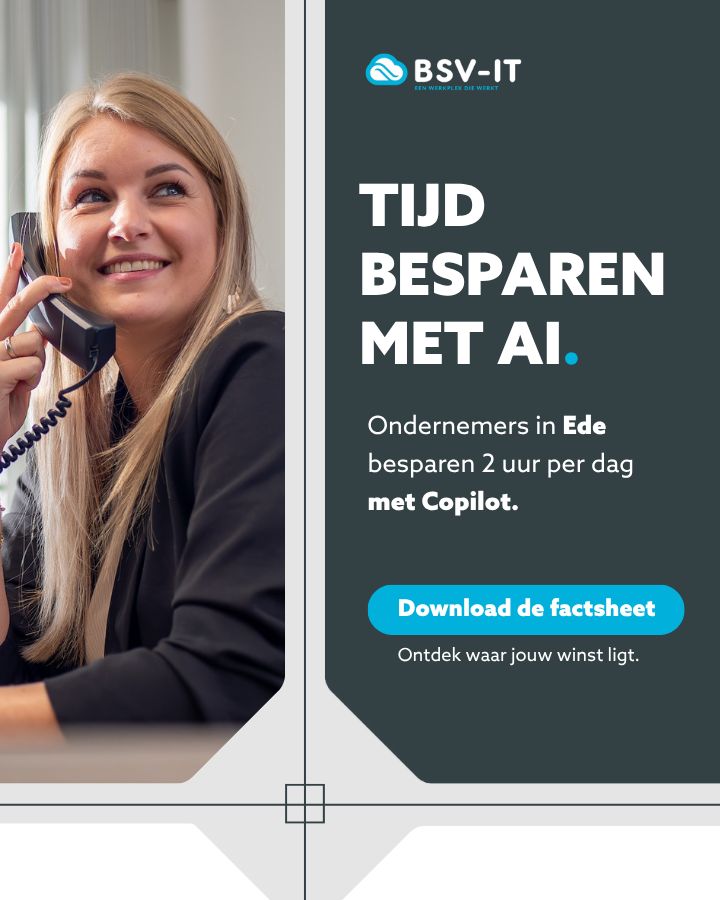 BSV-IT ad