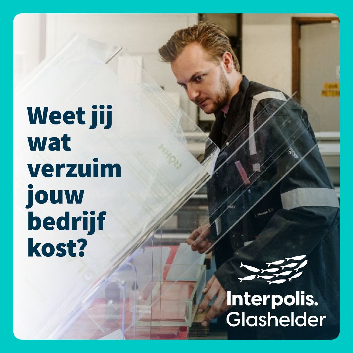 Interpolis ad