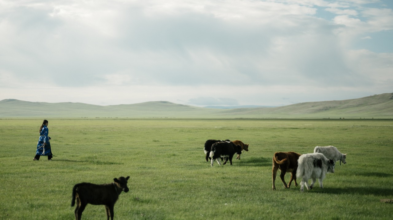 The Nature Conservancy ad