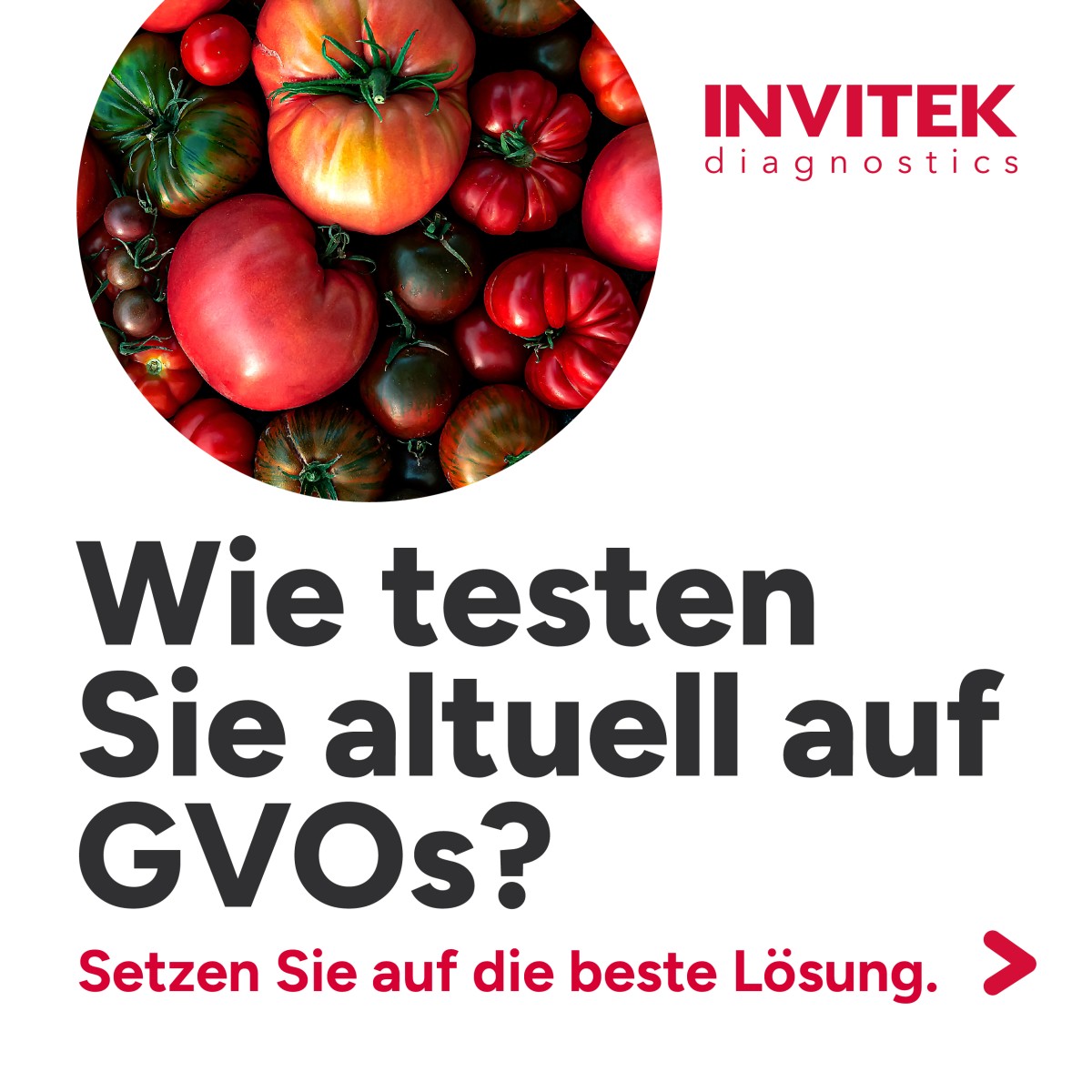 Invitek Diagnostics ad
