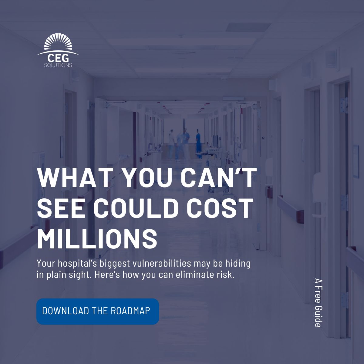 CEG Solutions LLC ad