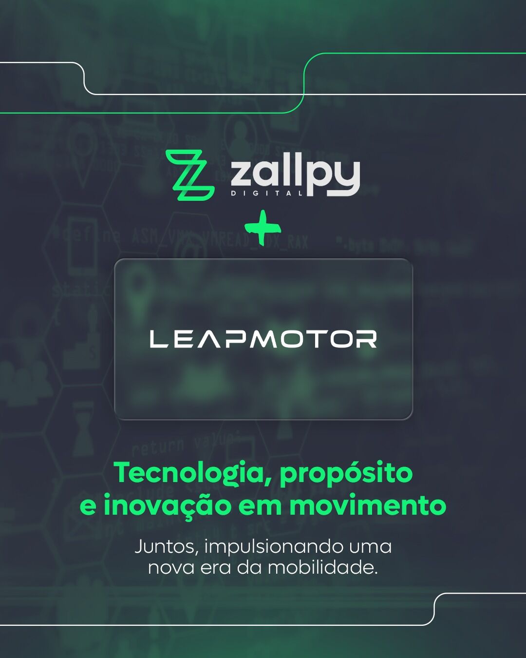 Zallpy Digital ad