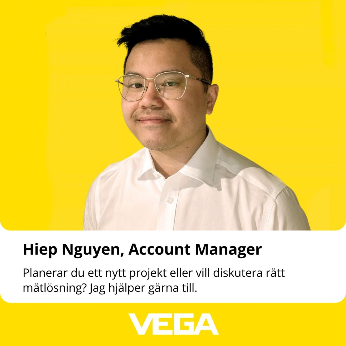 VEGA Level and Pressure ad