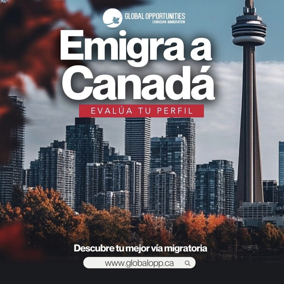 Global Opportunities "Canadian Immigration Firm"​ ad