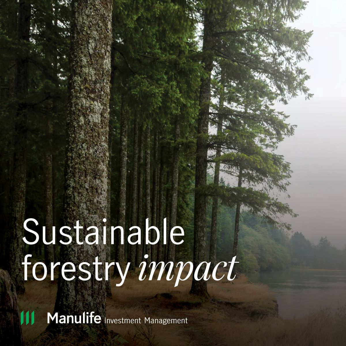 Manulife Wealth & Asset Management ad