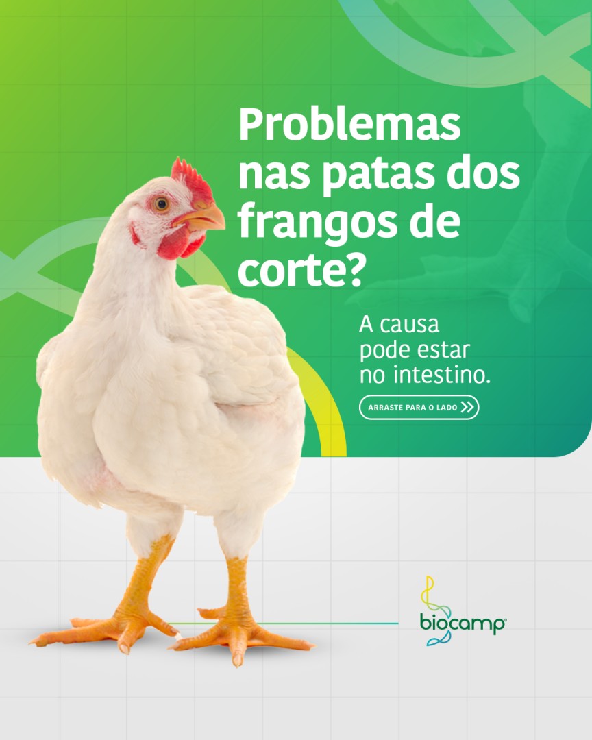Biocamp Laboratórios Ltda ad