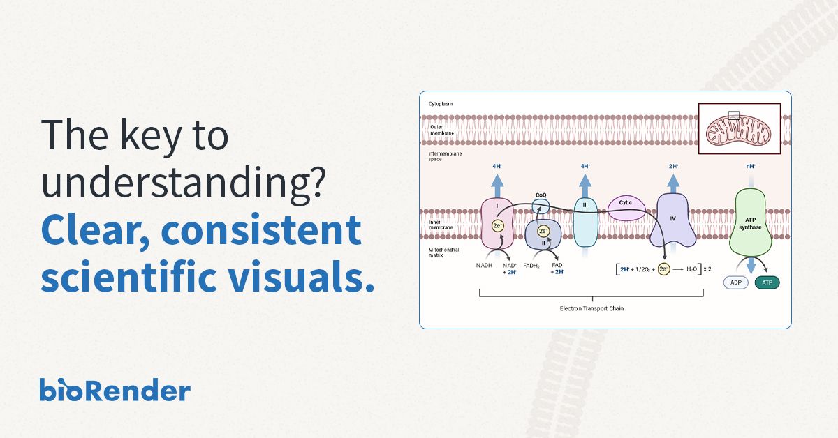 BioRender ad