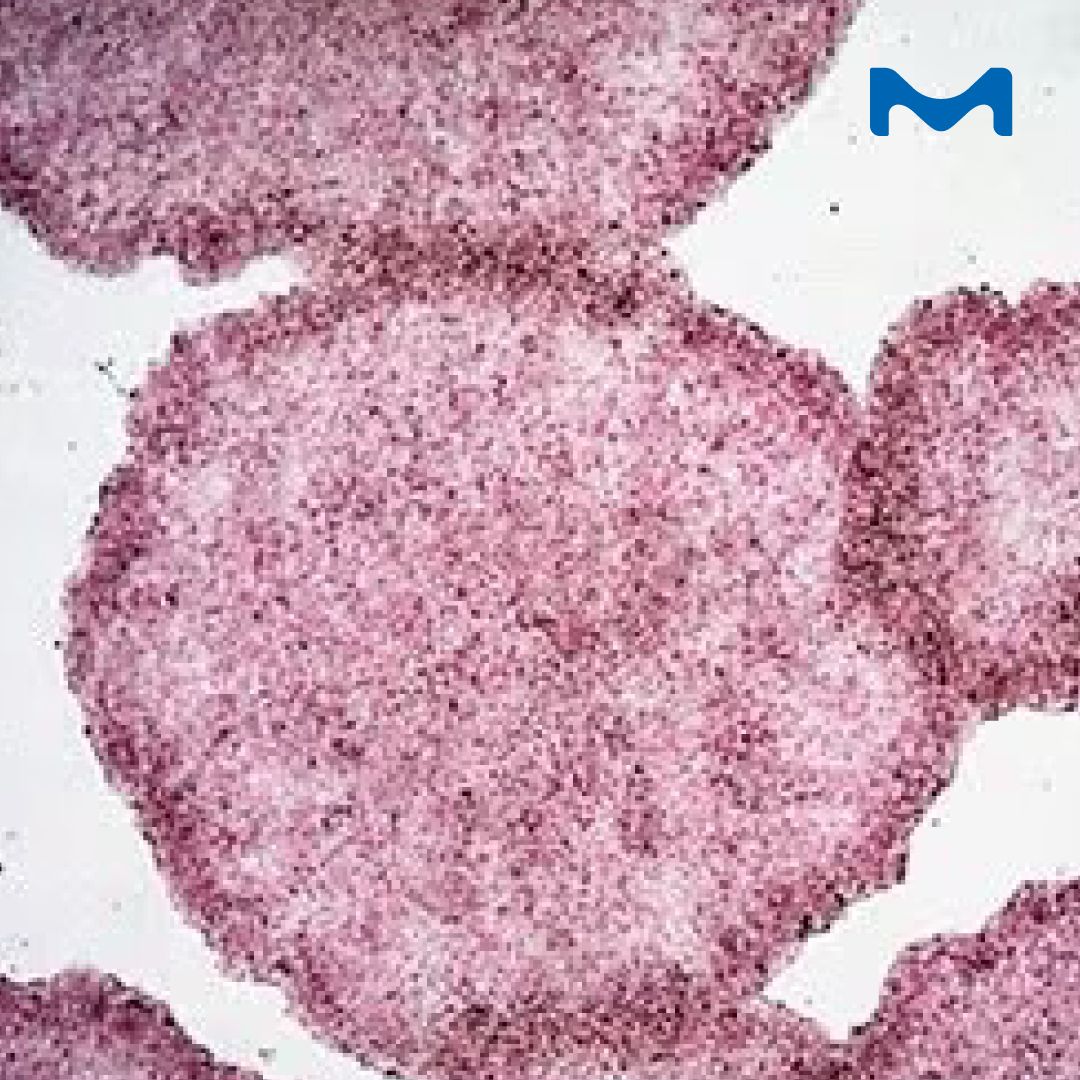 Merck Life Science ad