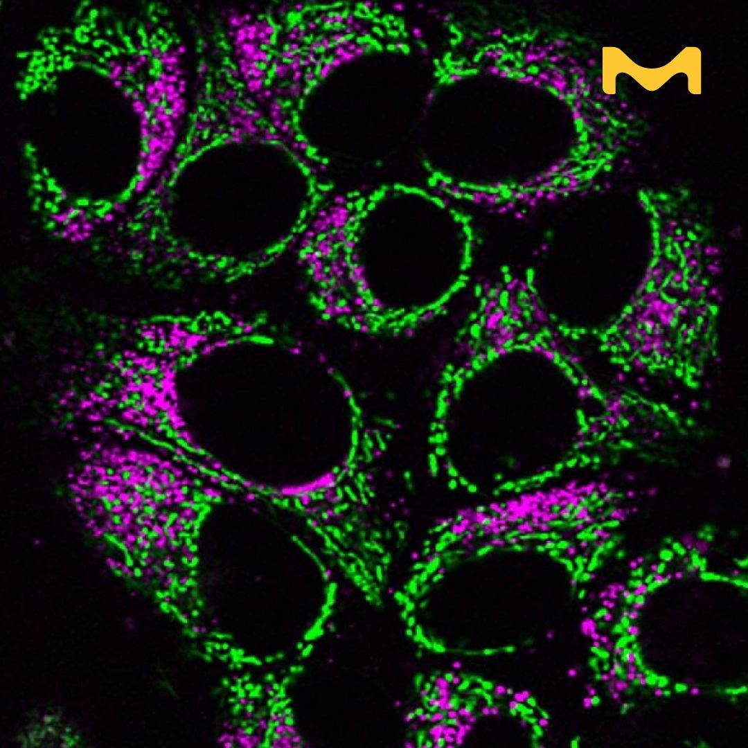 Merck Life Science ad