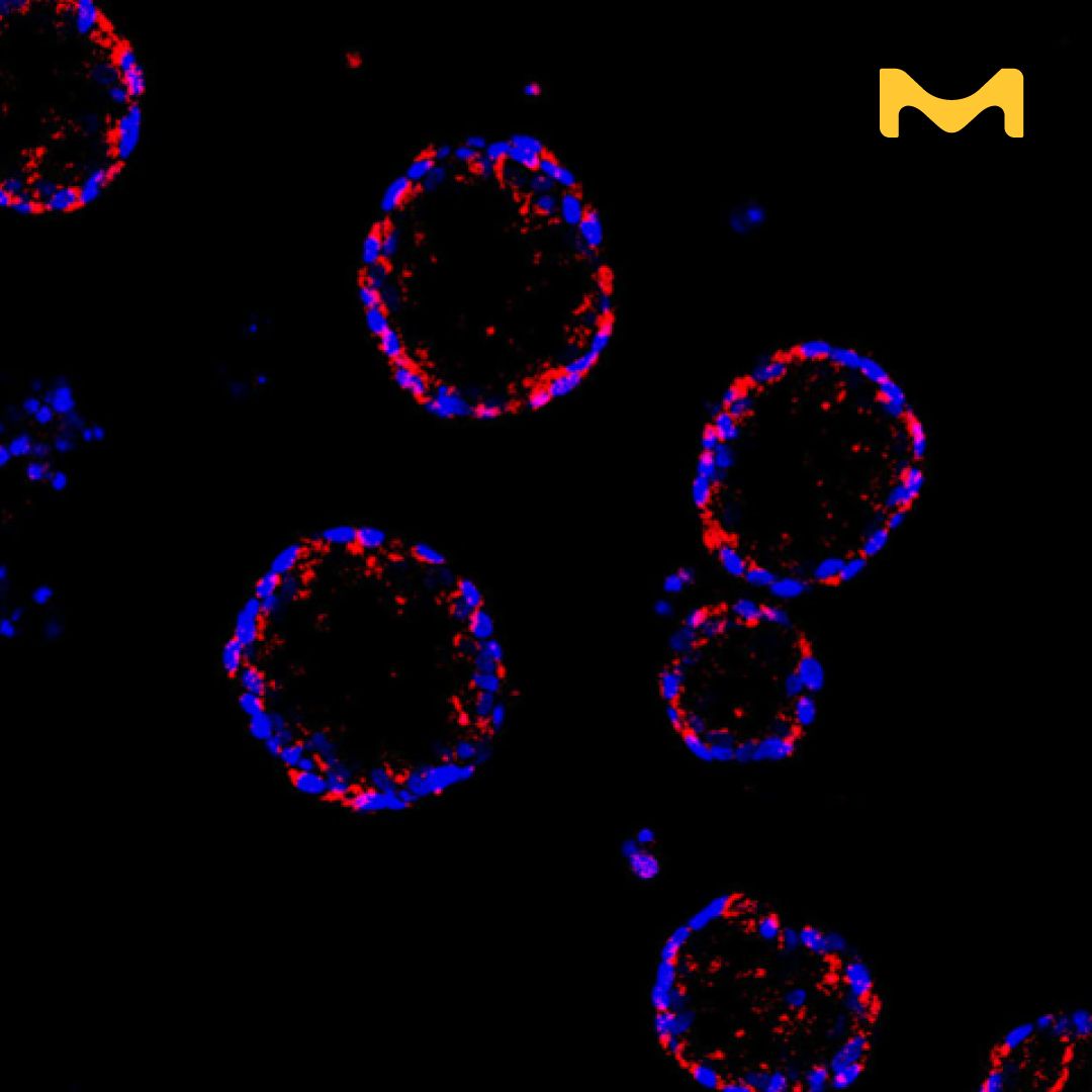 Merck Life Science ad