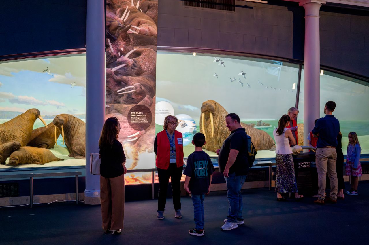 American Museum of Natural History ad