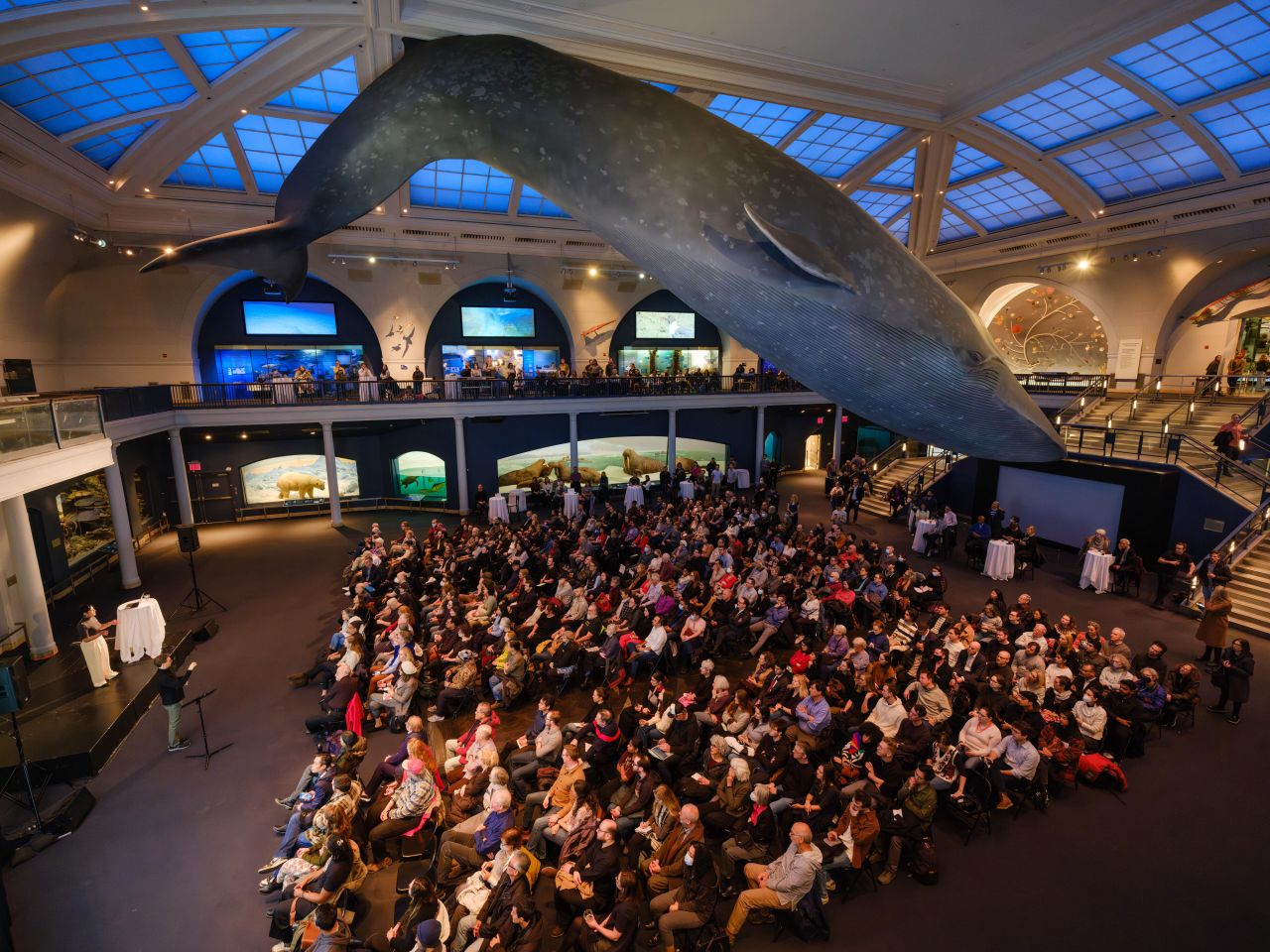 American Museum of Natural History ad