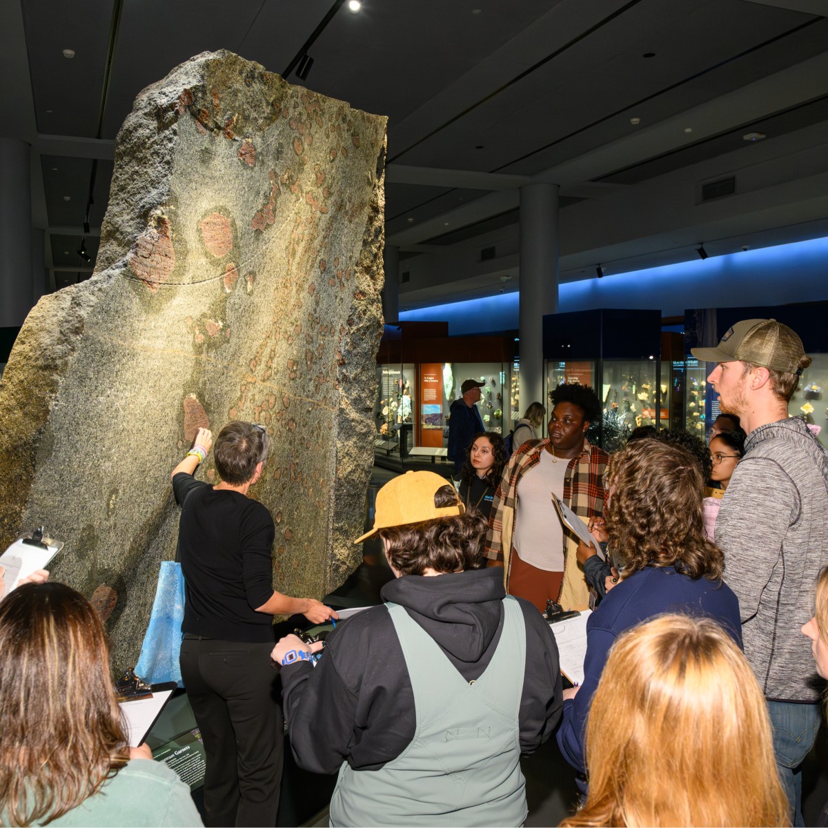American Museum of Natural History ad