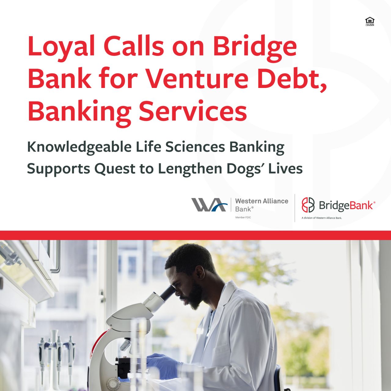 Bridge Bank ad