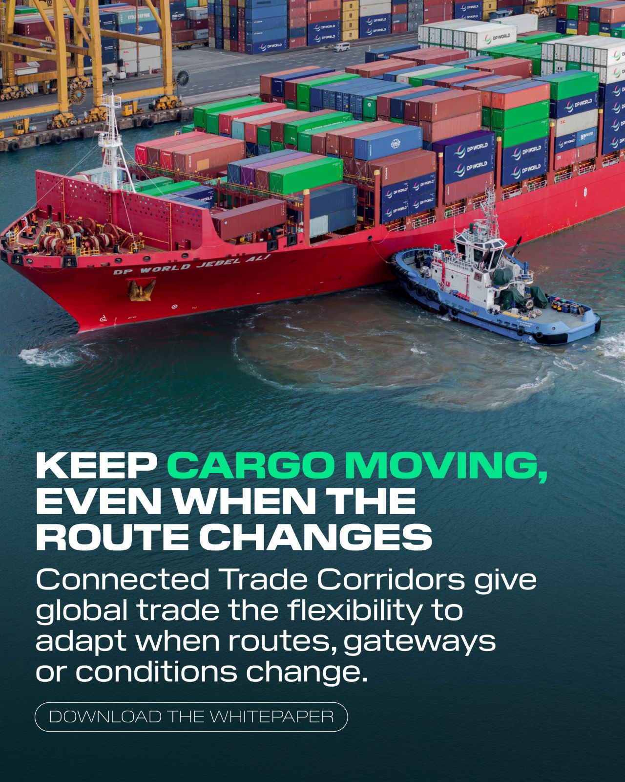 DP World ad