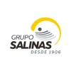 Grupo Salinas ad