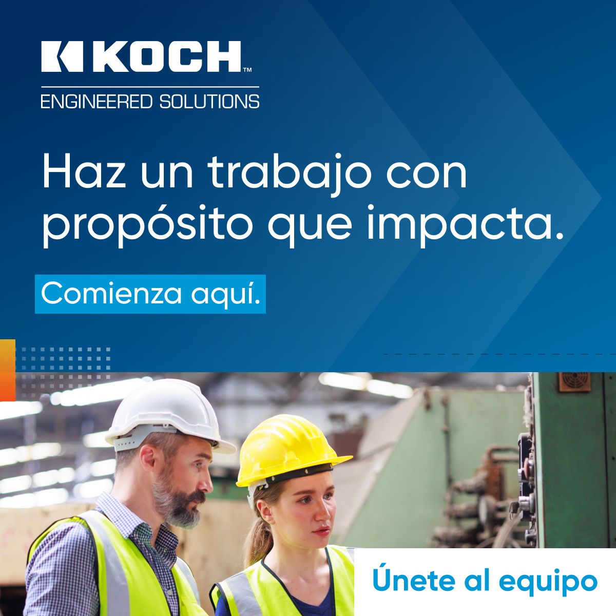 Koch ad
