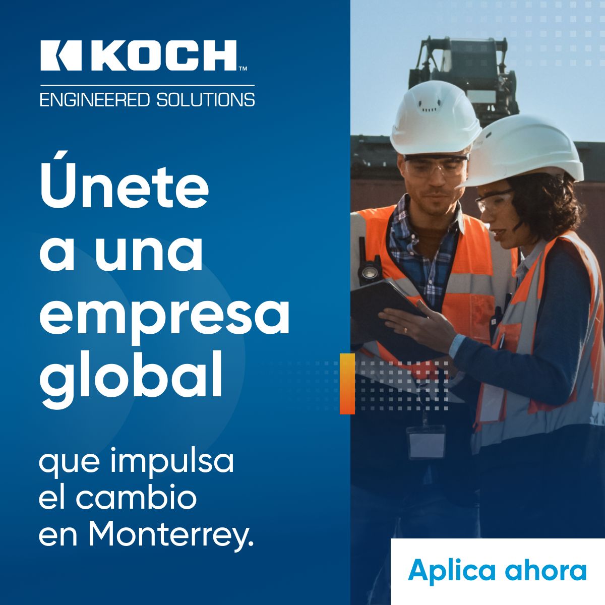 Koch ad