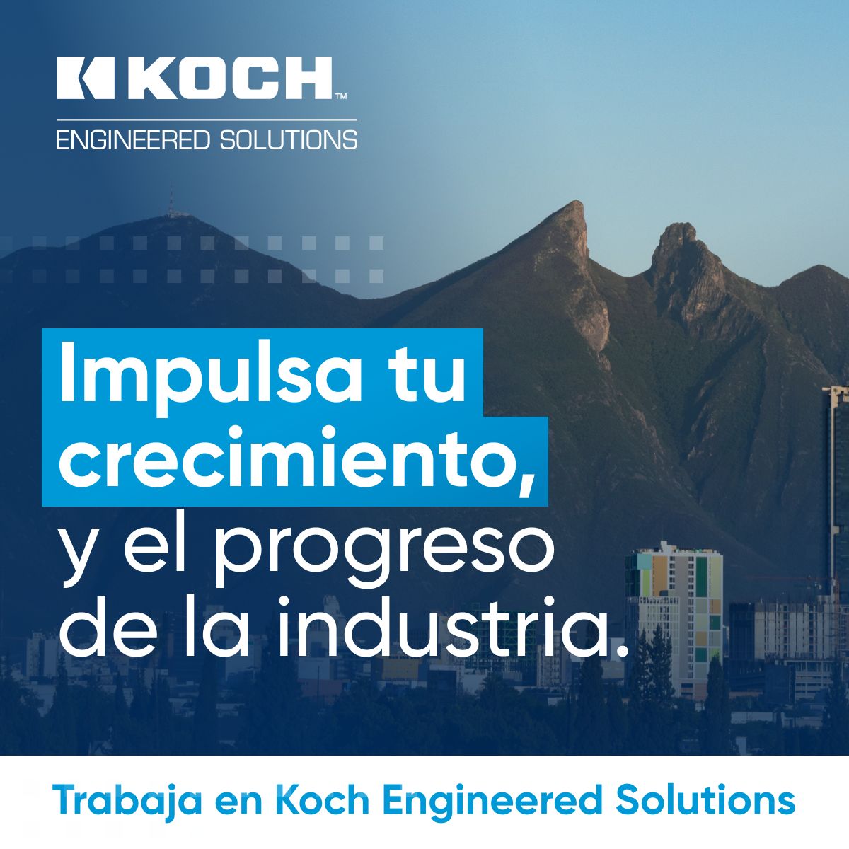 Koch ad
