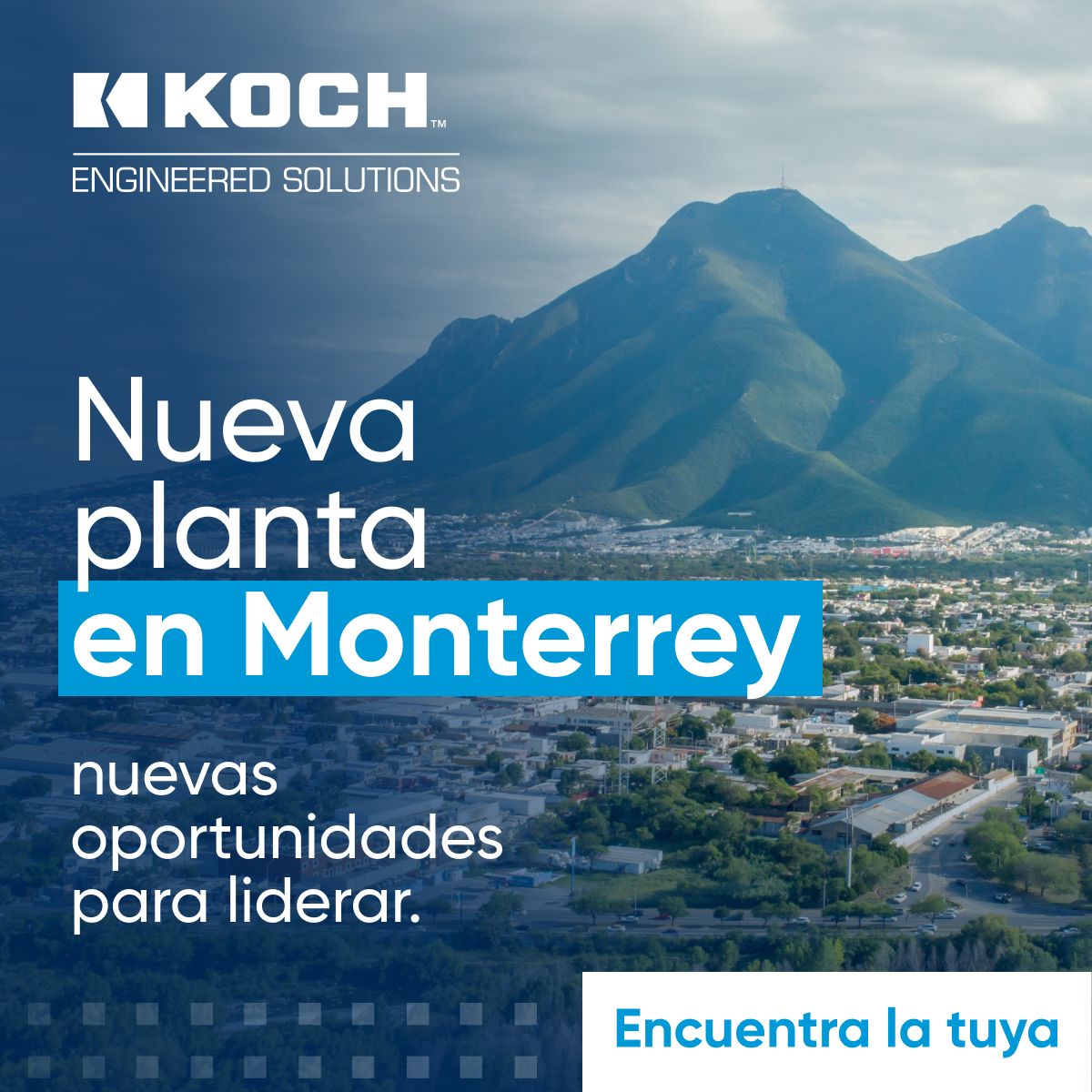 Koch ad