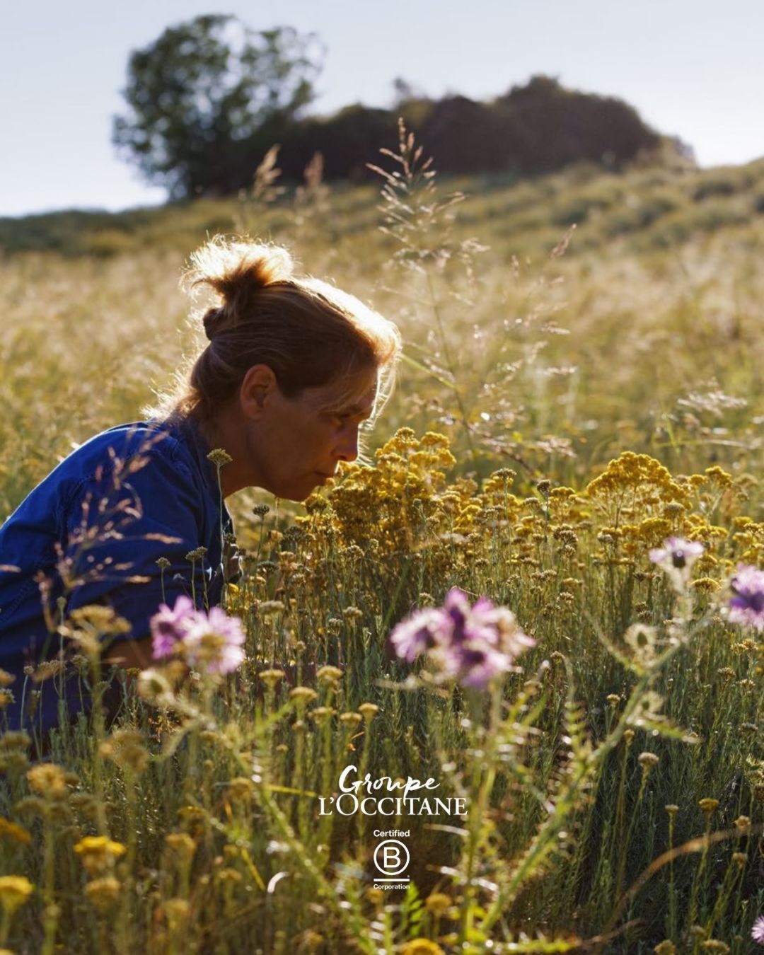 L'OCCITANE Group (B Corp) ad