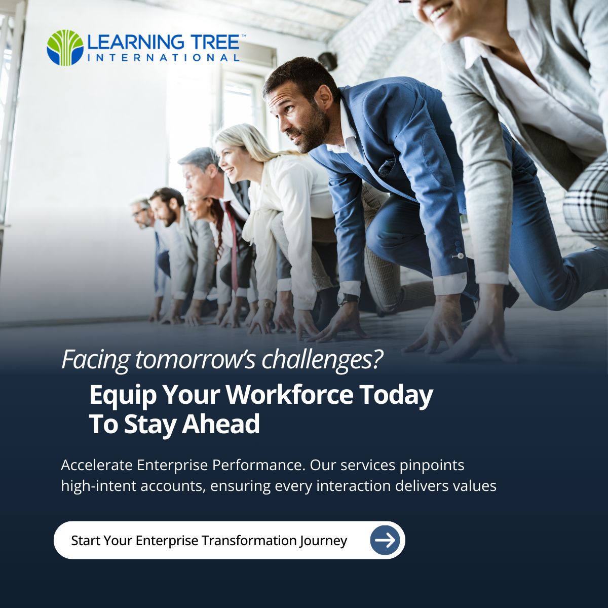 Learning Tree International ad