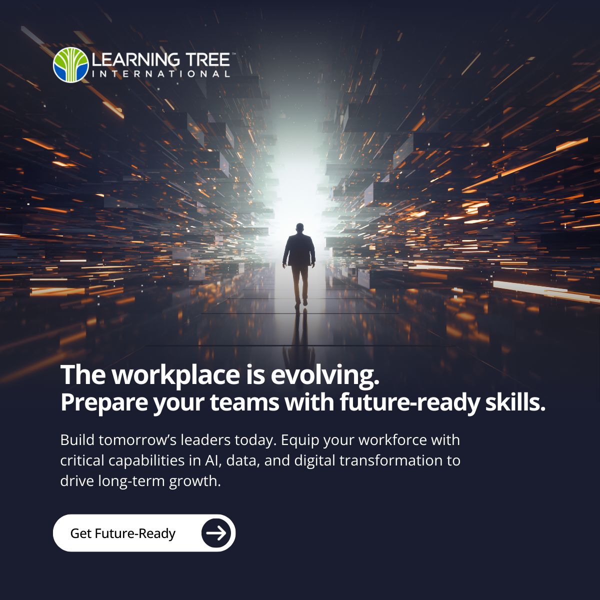 Learning Tree International ad