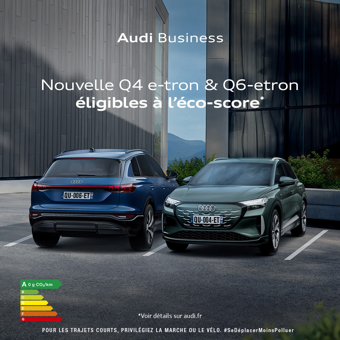 Les Echos ad