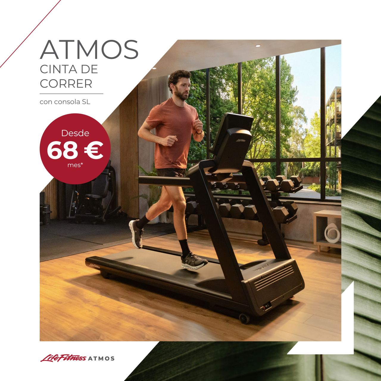 Life Fitness  / Hammer Strength ad