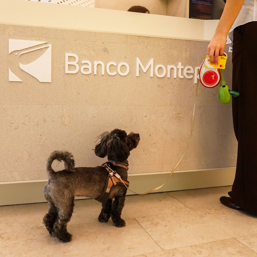 Banco Montepio ad