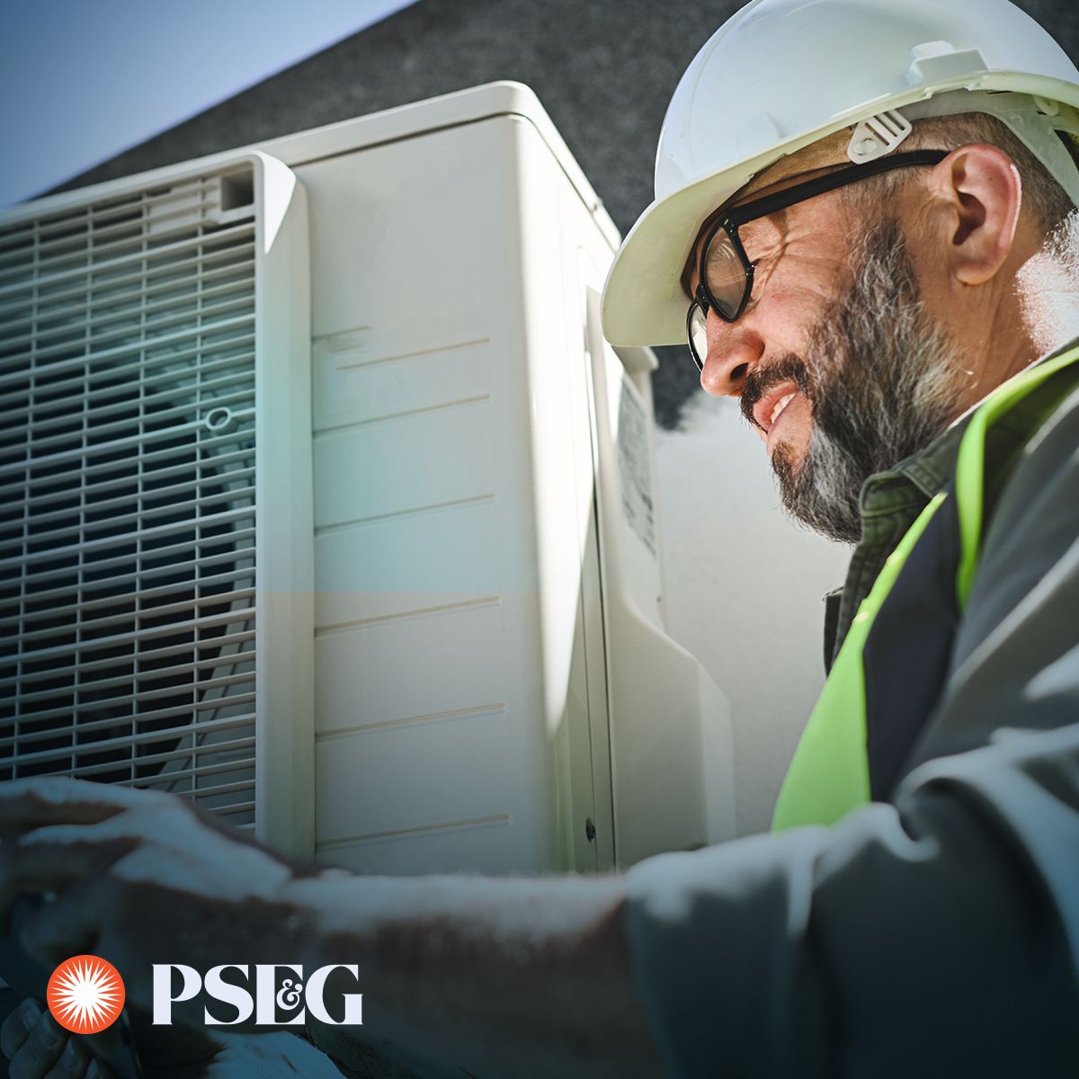 PSEG ad