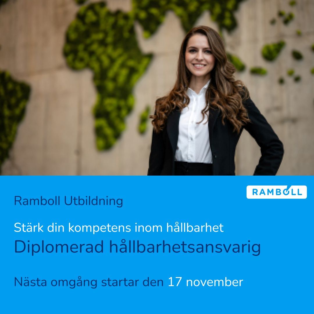 Ramboll ad