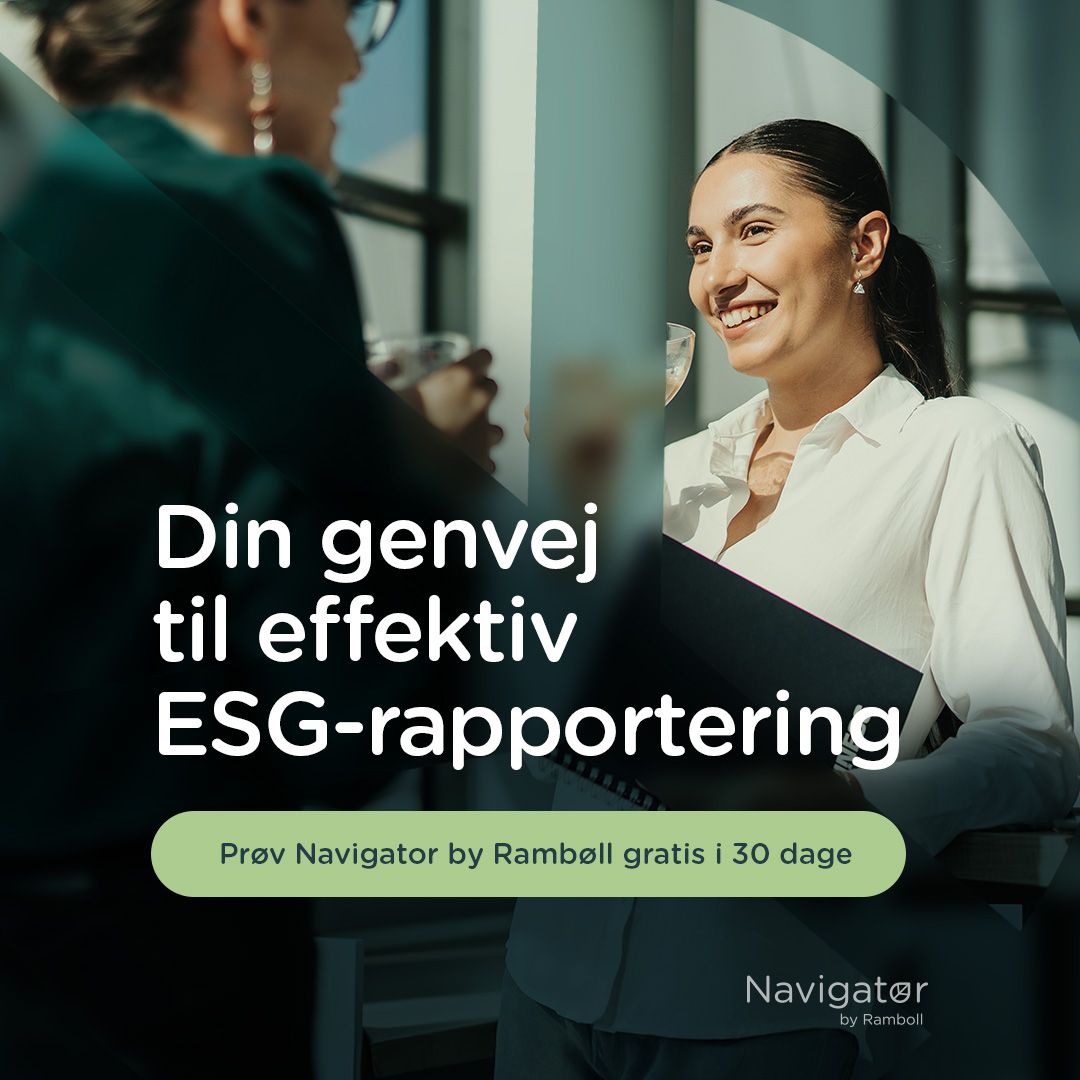Ramboll Management Consulting ad