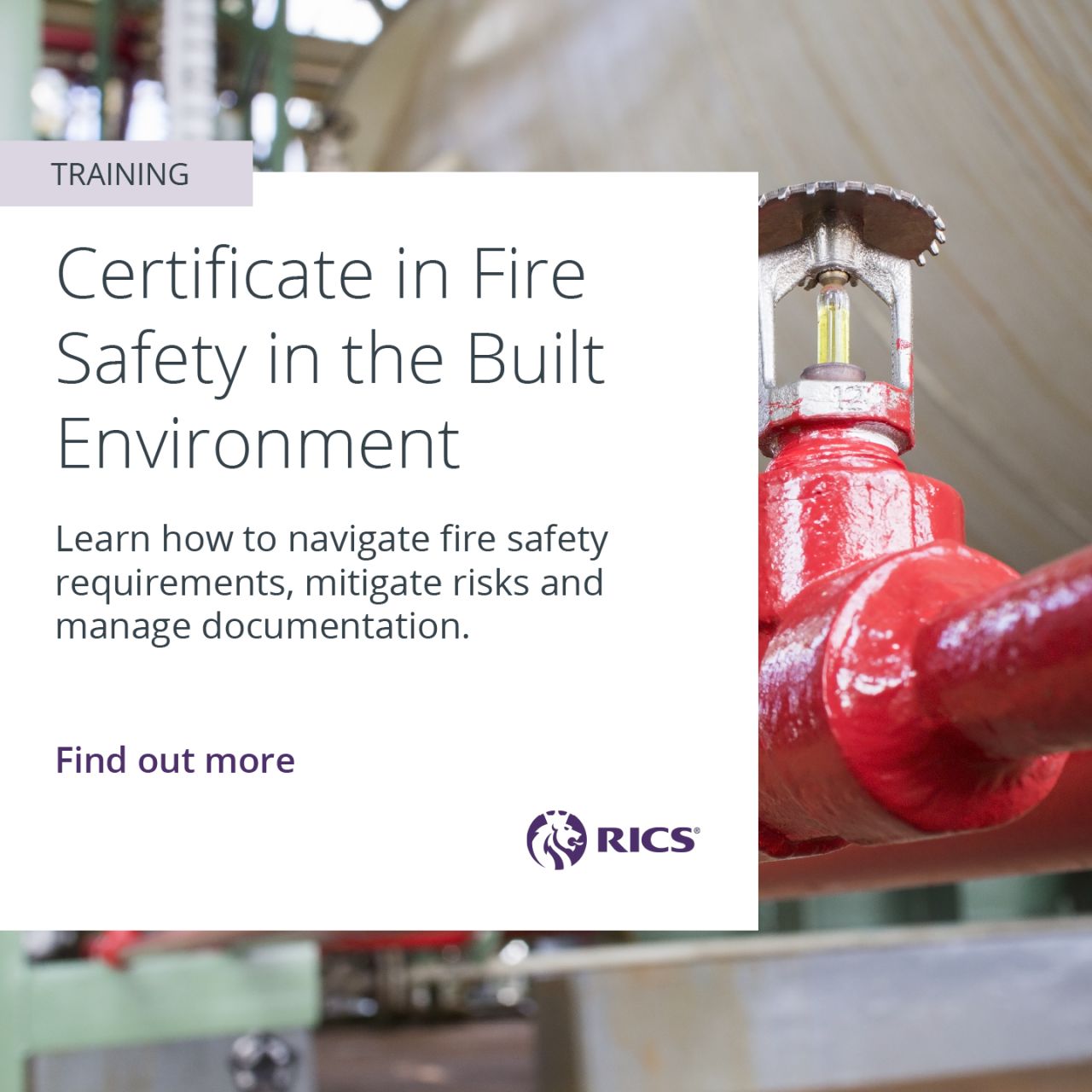 RICS ad