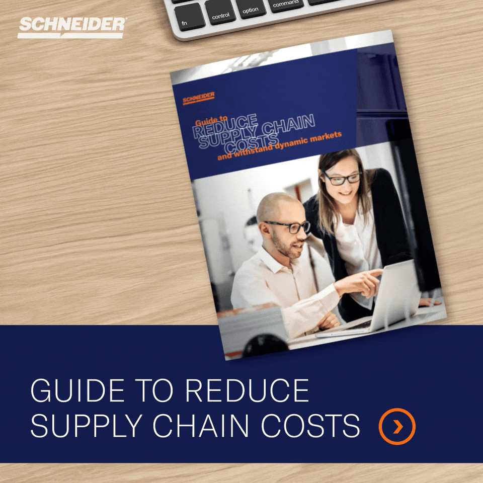 Schneider ad